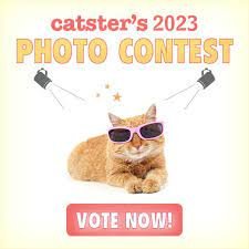 Catster Promo Codes & Coupons