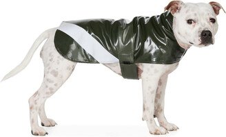 SSENSE Exclusive Green Dog Raincoat