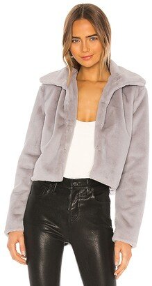 Tianna Faux Fur Jacket-AA