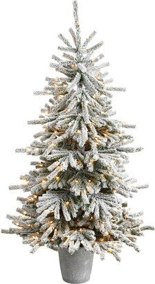 6’ Flocked Long Vermont Pine Prelit LED Artificial Christmas Tree in Decorative Planter