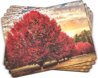 Crimson Trees Placemats, Set of 4