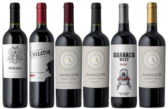 Splash Wines The Premium Reds Of Argentina: 6 Or 12 Bottles