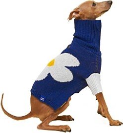 Little Beast the Good Vibes Sweater for Dogs