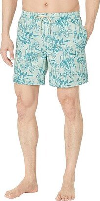 Quiksilver Waterman Loose Ways Volley 17 (Subtle Green) Men's Swimwear