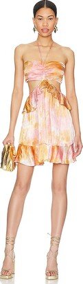 Rays for Days Lennon Mini Dress