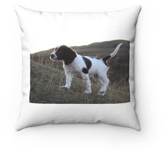 An English Springer Spaniel Pillow - Throw Custom Cover Gift Idea Room Decor