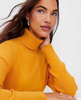 Petite Mixed Ribbed Turtleneck Sweater