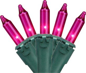 Northlight Set of 50 Pink Mini Christmas Lights 2.5 Spacing - Green Wire