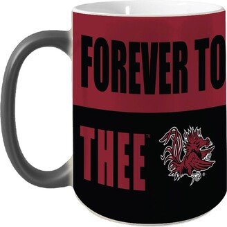 South Carolina Gamecocks 15 Oz Reveal Mug