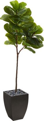 5.5ft. Fiddle Leaf Artificial Tree in Black Planter Real Touch
