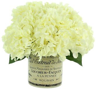 Creative Displays White Hydrangea Arrangement In A French Labeled Glass Vase