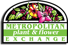 Metropolitan Plant Exchange Promo Codes & Coupons