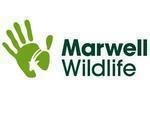 Marwell Wildlife Promo Codes & Coupons