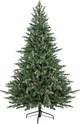 Northlight 7' Pre-Lit Blue Spruce Artificial Christmas Tree, Clear Lights