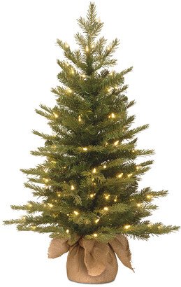 National Tree Company 3Ft Feel-Real Nordic Spruce Tree In Burlap