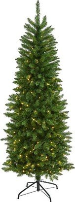 6ft Pre-Lit LED Mountain Pine Artificial Christmas Tree Clear Lights