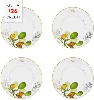 Amazonia Dinner Plates (Set Of 4) With $26 Credit