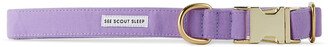 See Scout Sleep Purple The Scot Large Standard Dog Collar