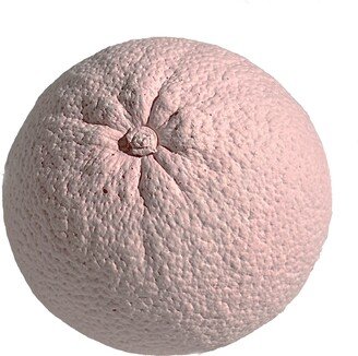 Studio Story Ornamental Concrete Orange In Pink