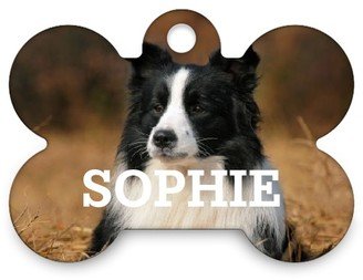 Pet Tags: Photo Gallery Bone Pet Tag, Multicolor