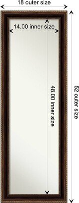 Non-Beveled Full Length On The Door Mirror 52 x 18 in. - Corded Frame - 18 x 52 in