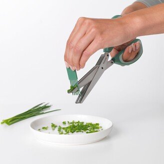 Tasty+ Green Herb Scissors Green