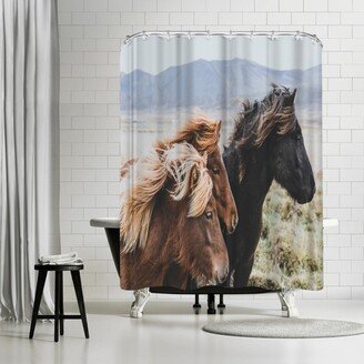 71 x 74 Shower Curtain, Eastern Region Iceland by Luke Gram