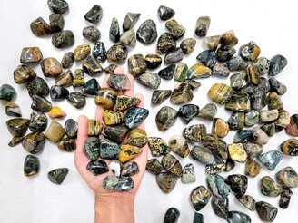 Tumbled Sea Jasper Crystals, Bulk Orbicular Polished Stones