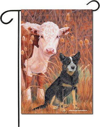 Australian Cattle Dog Garden Flag