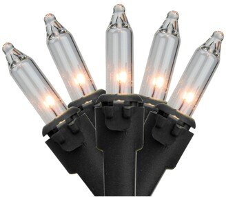 Northlight Set of 35 Clear Mini Christmas Lights 2.5 Spacing - Black Wire