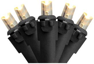 Northlight Set of 50 Warm White Led Wide Angle Christmas Lights - Black Wire