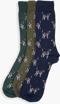 Pointer Dog Socks Gift Box