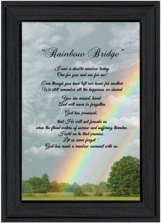 Rainbow Bridge By Ready To Hang Framed Print Collection