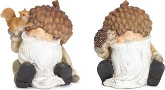 Gnome w/Acorn Hat