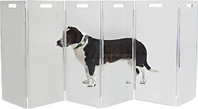 Hiddin Clear Freestanding 6 Panel Pet Gate