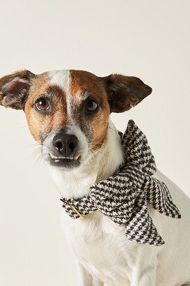 Flannel Lady Dog Bow