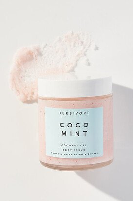 Mini Holiday Body Scrub