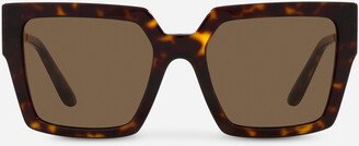 Diva Sunglasses-AA