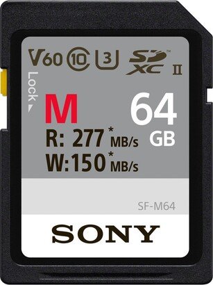 64Gb V60 Uhs-Ii M-Series Memory Card