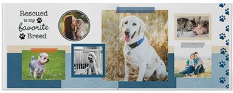 Photo Books: Best In Show Photo Book, 11X14, Professional Flush Mount Albums, Flush Mount Pages