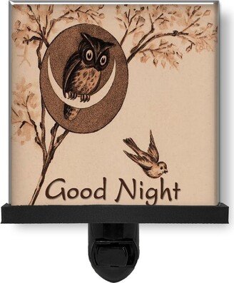 Good Night Owl in Moon With Bird Vintage Style Glass Photo Light, Decorative Lights