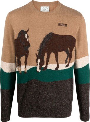 Donegal Riding crew neck jumper