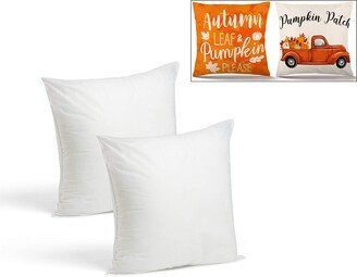 Throw Pillow Inserts - Set Of 2 Hypoallergenic Pillows For Use With Removeable Covers -P