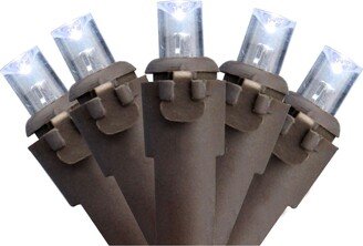 Northlight Set of 50 Pure White Led Wide Angle Christmas Lights on Brown Wire