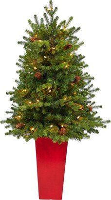 3.5' Yukon Mountain Fir Artificial Christmas Tree with 50 Clear Lights and Pine Cones in Red Planter