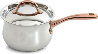 Stainless Steel Covered Saucepan