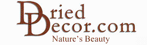 Dried Decor Promo Codes & Coupons