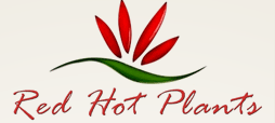 Red Hot Plants Promo Codes & Coupons