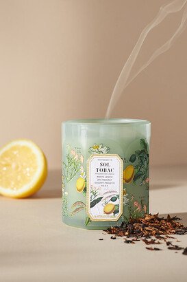 Apothecary 18 by Anthropologie Apothecary 18 Floral Sol Tobac Small Glass Candle