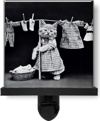 Vintage Style Funny Cute Kitten Cat Hanging Laundry Glass Photo Night Light, Decorative Lights